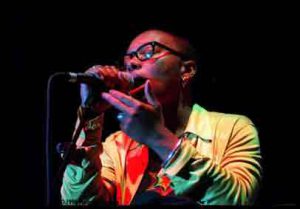meshell ndegeocello cookie the anthropological mixtape